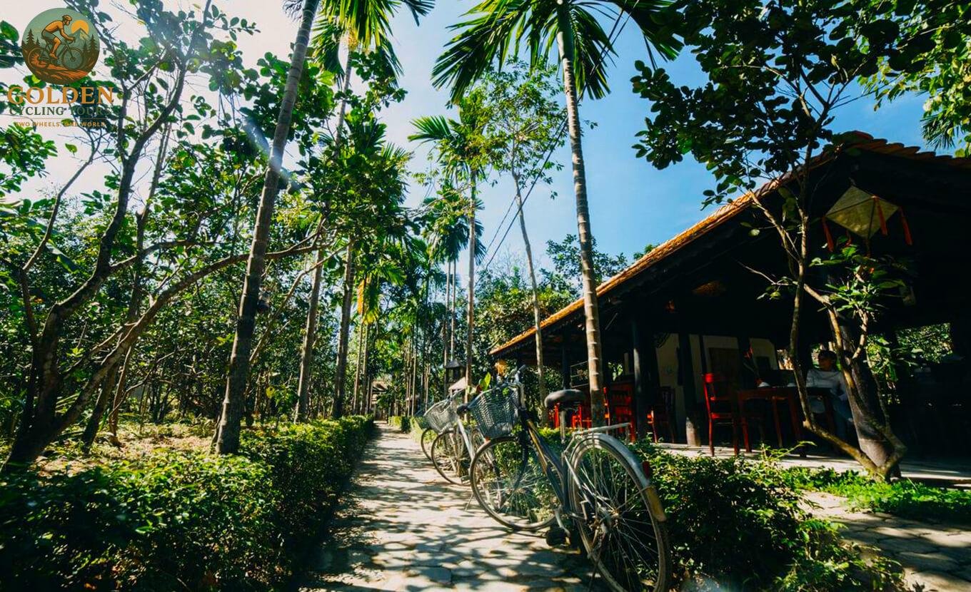 Half-Day Biking to Thuy Bieu Village: Garden Houses & River Cruise